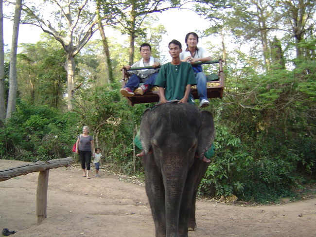 お腹を下し、体力の限界の二人は歩いて丘に登ることを断念し、＄１５払い象に乗ることに！！