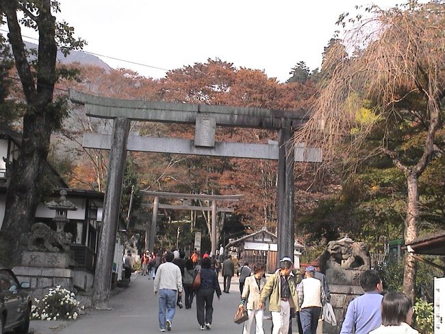 絵葉書（古城公園・伏木・市内） 文化遺産オンライン