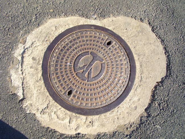 マンホールの蓋、満鉄のマークが入っている。