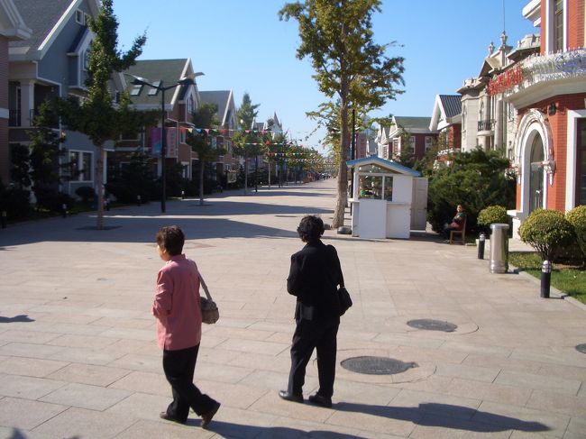 旧日本人街に造られた住宅街、価格高く空き屋と