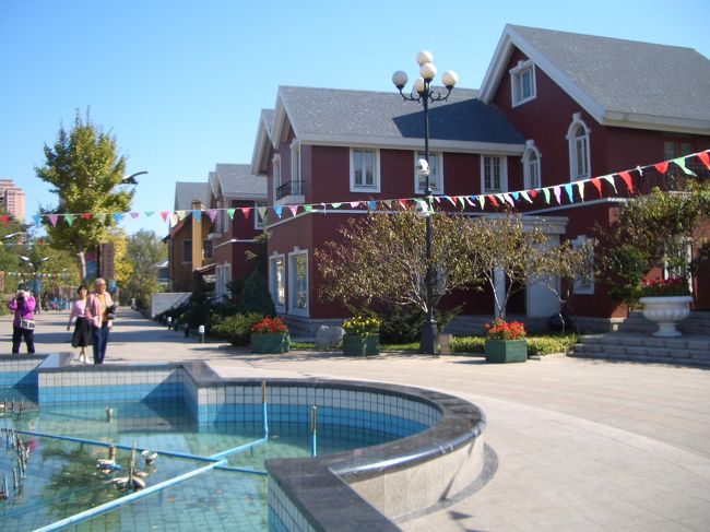 旧日本人街に造られた住宅街、価格高く空き屋と