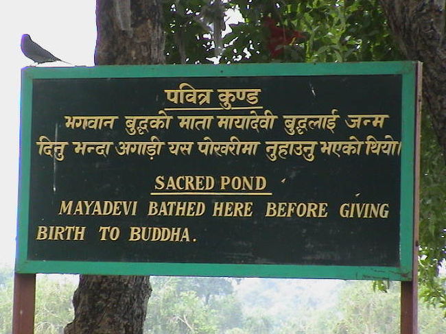 麻耶夫人が釈迦生誕前に水浴びした泉<br />