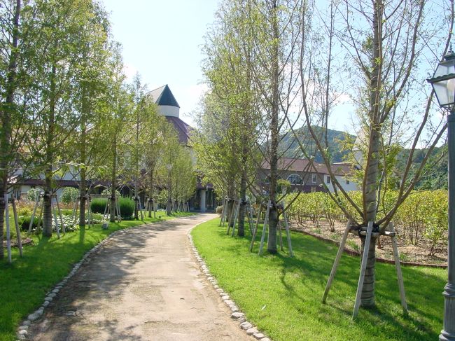 タオル美術館は１F〜３Fはショップ、４F、５Fはタオルの製造工程やミュージアムを見ることができます。原綿、綿糸、タオルまでの工程を見学したあとは、そのままタオルアートの世界に入っていきます。見ごたえあり。