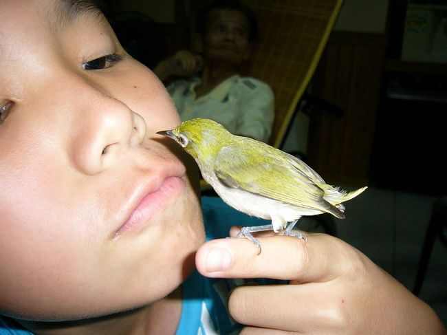 ちょっと気持ち悪いんだけど、従弟けんちゃんは自分の鼻くそを大宝に食べさせのが好き...