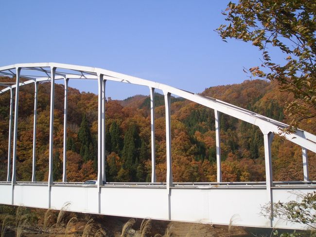 高山へ行く人の渋滞を抜け、白鳥から油坂峠へ。<br />１０月から無料になった道路を抜けて九頭竜湖に。<br />毎年帰りに通るんだけど、今年は昼間でしかも快晴。<br />いつもはもう紅葉は終わっているんだけど、今年は遅かったおかげで見事な紅葉が!!!<br />