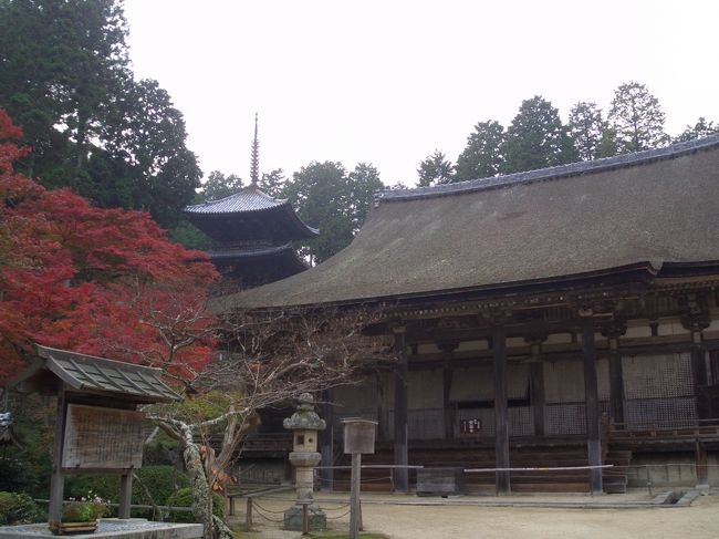 次は『常楽寺』<br />ここは普段は本堂は公開していないそう。<br />本堂、三重塔とも国宝。<br />善水寺もそうだったけど、本堂内にはとてもたくさんの仏像があった。<br />