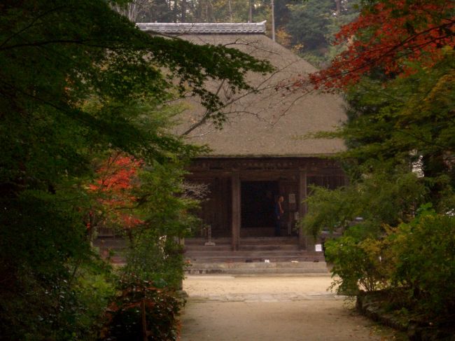 最後に訪れたのは『長寿寺』<br />山門から国宝の本堂までのモミジで覆われた参道。<br />やっぱりまだ少し時期が早いかなとも思ったけど、十分きれいだった。<br />