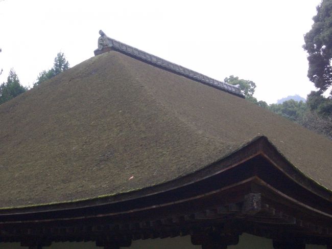 本堂の屋根。<br />とてもきれいなひわだぶき。<br />住職の奥様の話によると５千万ほどかかるそう。<br />ヒノキの皮を剥いで屋根にする職人さんが今は少なくなったとのこと。<br />