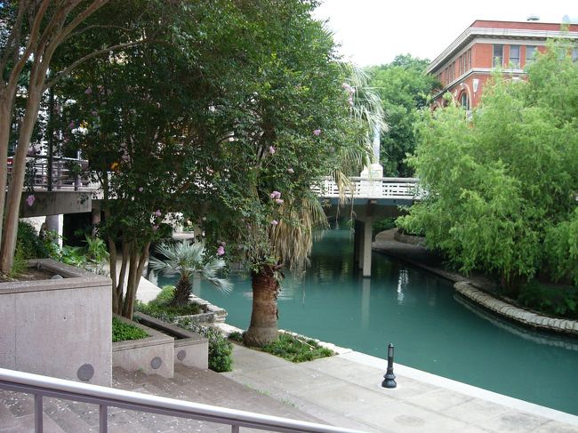 朝は静かですが、昼間はアメリカのベネチアというよりは、ジャングルクルーズって感じです。