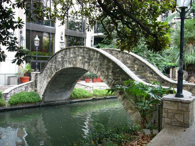 川を船に乗って移動できます。