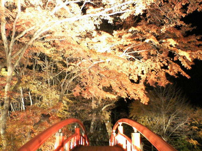 伊香保温泉 深夜の河鹿橋 群馬県の旅行記 ブログ By ももやんさん フォートラベル 伊香保温泉 深夜の河鹿橋 群馬県の旅行記 ブログ By ももやんさん フォートラベル
