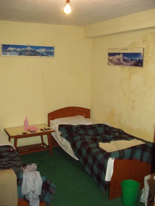 今は名前が変わってしまっているかもしれませんが、タメルゲストハウスを常宿としていました。ここはタメルのど真ん中にあるこじんまりとしたゲストハウスです。お部屋はこのとおりしみだらけでくたびれた感じですが、お安く行きたい人におすすめの宿でした。