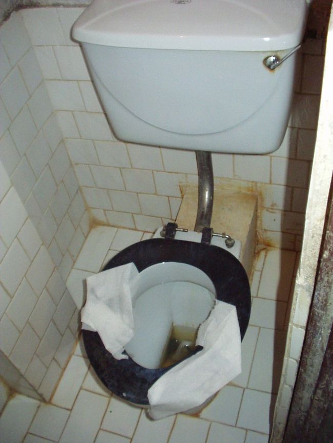 タメルゲストハウスのトイレ･･･。汚いですが、まぁネパールのエコノミークラスの宿なんてこんなもん。<br />ちなみにタメルの安宿の水で歯磨きすると歯が黄色くなりますのでミネラルウォーターで歯磨きしましょう。