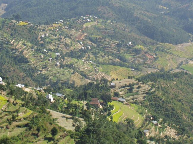 旅行記の表紙の写真はドゥリケルから眺めるヒマラヤです。<br />ここはドゥリケルの段々畑。ネパールの段々畑は本当にきれいです