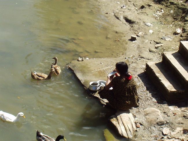 ネパールでよくある風景です。<br />食器洗ってます