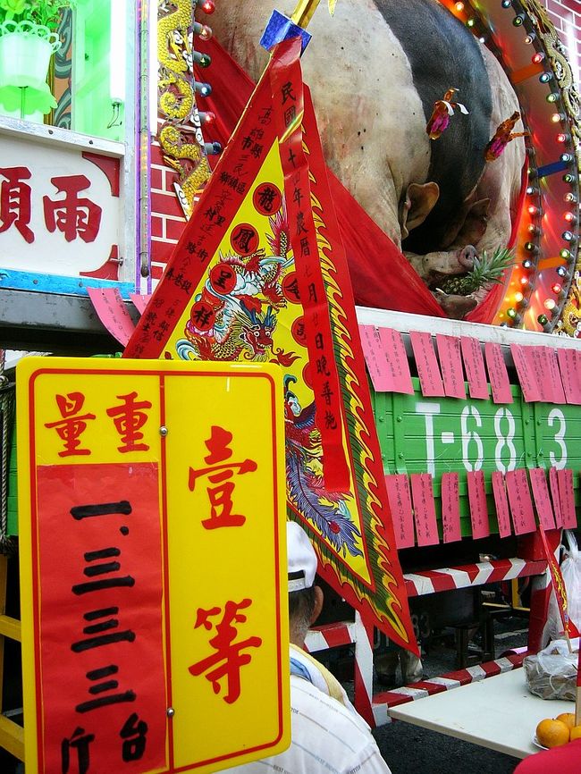 いよいよ一番目の神豚が登場しちゃいました！だが、単位を換算すれば、１３３３台斤は８００キロぐらいってちょっと信じられん！とにかく、こんなに太い動物が生きても歩けないんだろう？殺されなくても可哀相...