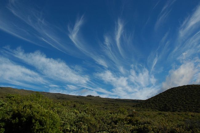 マウイ島でのアクティビティはハレアカラ国立公園での「サンセット＆星空観察ツアー」にしました。ホテルからバスで3055mの山頂へ向かいます。15時くらいに出発して3時間くらいかかります。途中4回休憩をはさみますが、これは気圧の変化に体を慣らすこともかねているのだとか。ちなみにこのハレアカラ山は世界最大の休火山でもあります。写真は標高2000m付近ですが、そろそろ植物が生えない限界点になってきています。