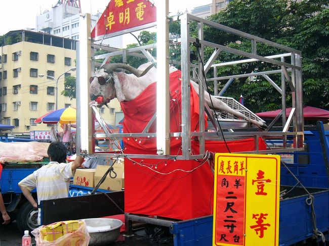 羊の角の競技もあった！？不思議ですがサングラスをつけた羊はどういうものか昔台湾の芸能人金門王みたいです。