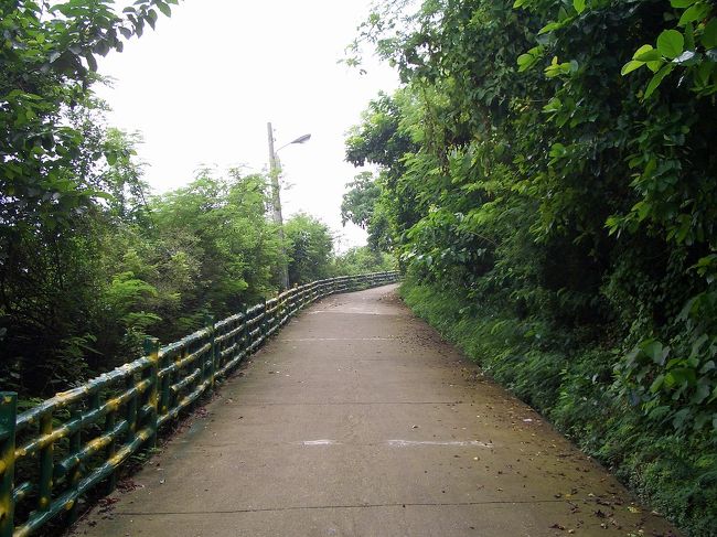 高雄灯台のある旗山の頂へ向けていました。そして行き道の山道で撮影。小学時代はかつて叔母さんの会社の皆と近くの麓で肉をあぶり焼いたことあるから、ちょう懐かしかった！