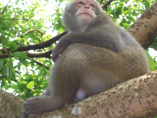 やっぱりこの角度は素敵だぜ！！雄性の... シンボル！（笑）