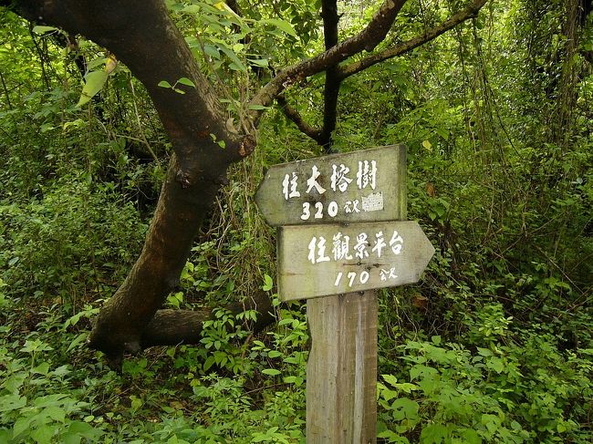 第一週の土曜、早朝に降った大雨に構わず左営の半屏山に登って来た。入山口から徒歩１分ぐらいの交差点でこの道しるべを見ました。半屏山は元鉱区だったので、一般の市民はまったくこの山に登るわけではなかった。２００２年開放され以来、初めて入山しました。だから、珍しい経験と思います。
