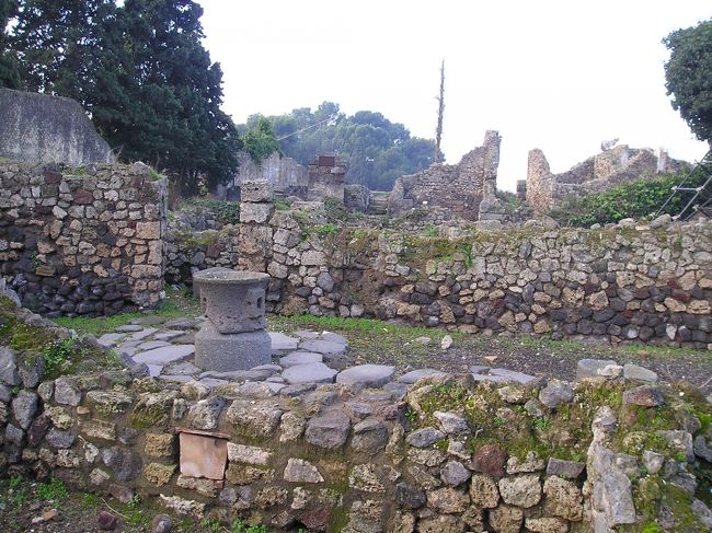 開門と同時に入場したもので、<br /><br />観光客はほとんどいません。