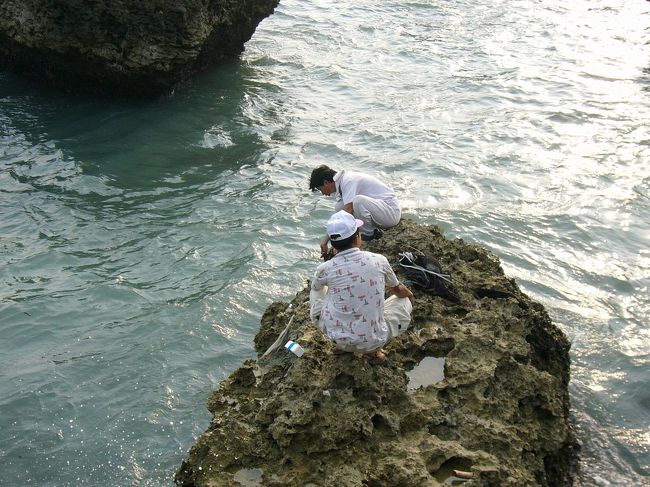 残念ながら、今日の海風が強すぎたので、結局は何匹も捕らなかった！ちょっと網や餌などを始末したと型のいい漂流木を探した。最後はたくさんの漂流木を持ち帰って、疲れても楽しかったぜ！
