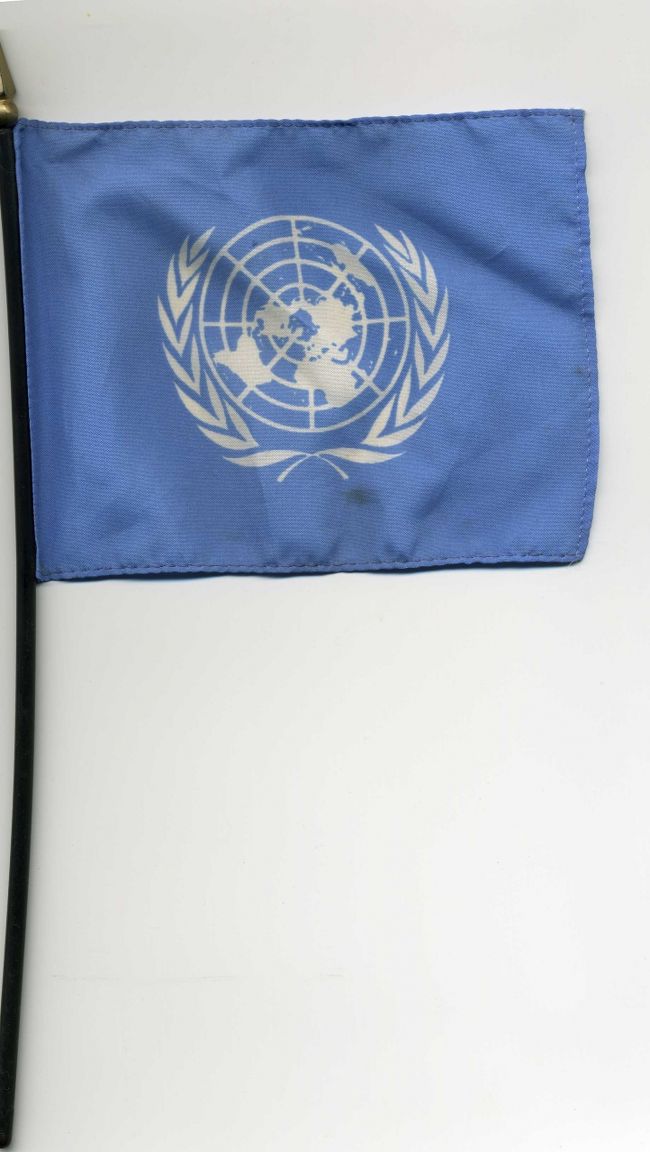 2009年の国際連合