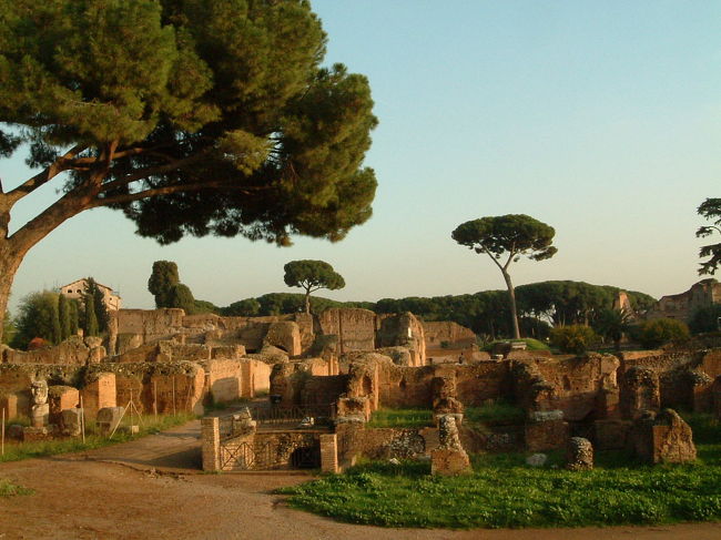 コロッセオの入場券とセットになっているパラティーノの丘に登る。<br />こちらはコロッセオの混雑に比べて人影がまばらだ。<br />入場券を買うときはコロッセオで買わずにこちらで買った方が時間の節約になるという噂もうなずける。<br /><br />神話上では、双子神のロムロスとレムスがこの丘に街を建設したことがローマのはじまりだと言われている。<br />下の遺跡よりもさらに古いと思われる遺跡群が、夕陽に照らされてオレンジ色に輝いていた。<br />長い歴史を見守って来たであろう笠松が、どことなく寂しげにポツポツと立っている。<br />この旅で一番心に残るワンシーンだった。