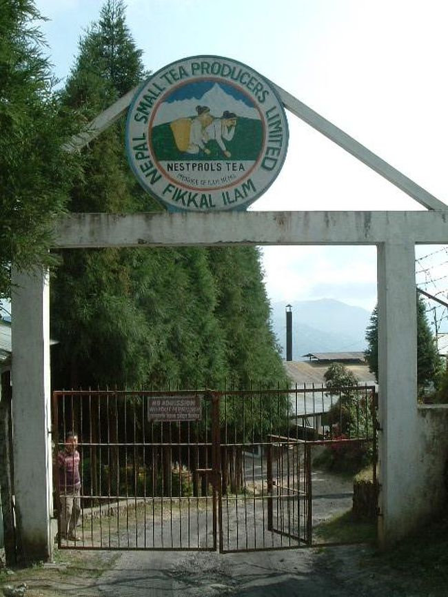 フィッカル・イラムの紅茶工場。<br />ダージリンに近いこともあり紅茶の味はそれに似ています。モノによってはダージリン越えすることも。インドでもそうだったのですが、工場のロゴが良かった。