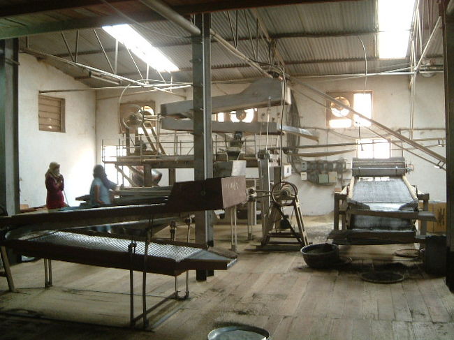 紅茶工場の中はこんな感じです。