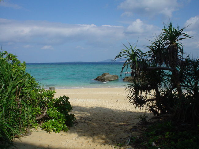 外に出て海に下りてみました。