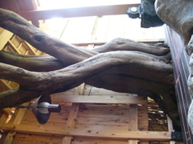 露天風呂には大きな木が！<br />自然の中ののんびりお風呂☆