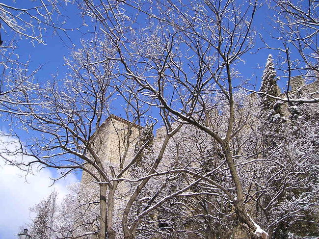 抜けるような青い空。雪の白が映えます。