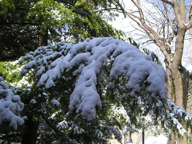 感性にぐっと来る光景です。