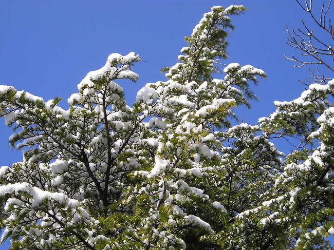 物音が全くしない静寂の中で、もう一枚。