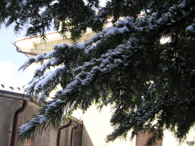 あまりに気に入ったので、