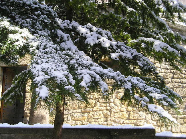 何枚も撮ってしまいました。来てよかった！