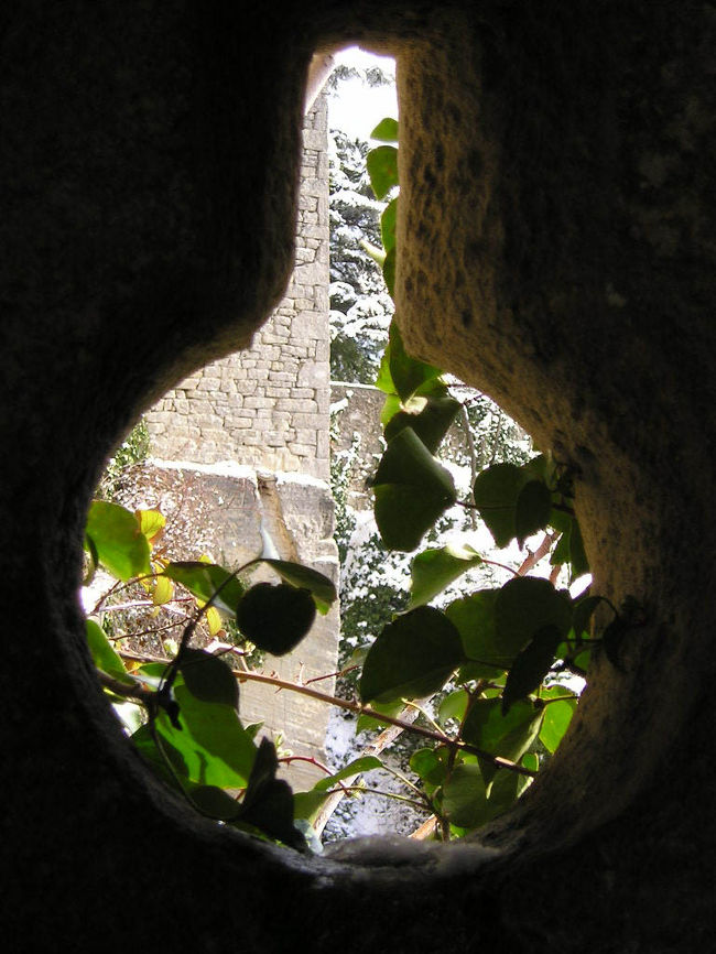 戦火はとうに止み、木々が生い茂っています。