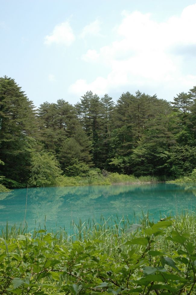 次の日は福島県まで足を伸ばして五色沼へ☆<br />ここの沼は８つほどあり、沼の成分によってそれぞれに色が異なっているのだそう。<br /><br />歩いて片道３０分〜１時間ほど。<br />歩く距離に比例して、綺麗な色に出会った感動はひとしお！