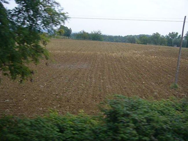 ガイドさんいわく、この赤土がこの地方の<br />ぶどう、ワインに重要な要素とのこと。