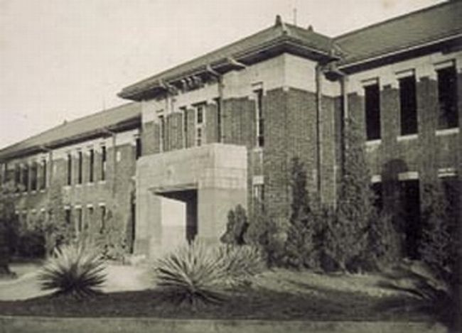 日治時代の紅楼。おじいさんたちの思い出、あの時代の優しさ...