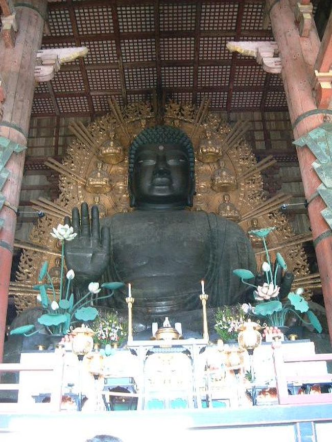 これが大仏さん。<br />なんか、思ったより小さい・・・