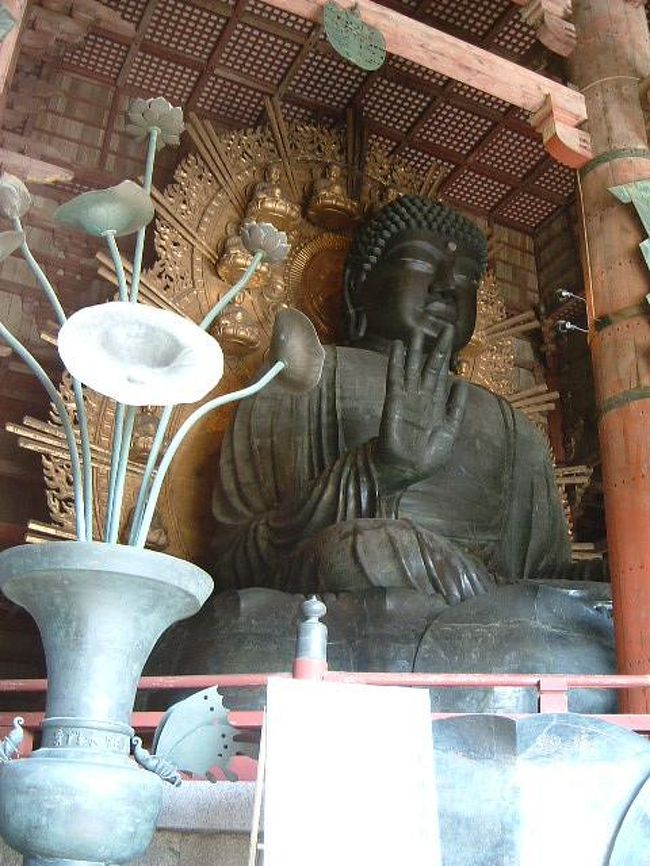 大仏を違う角度から激写