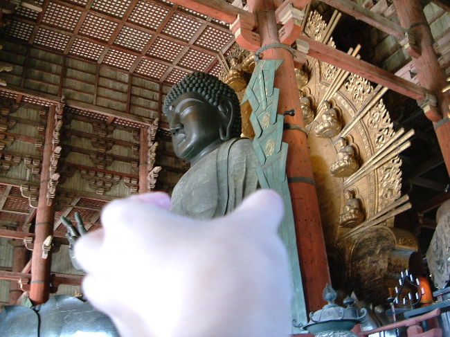 大仏をつかむ<br />罰当たりなことをしたため、おみくじは凶<br />凶は、英語でＮＯ　ＬＵＣＫ　幸せなさそう