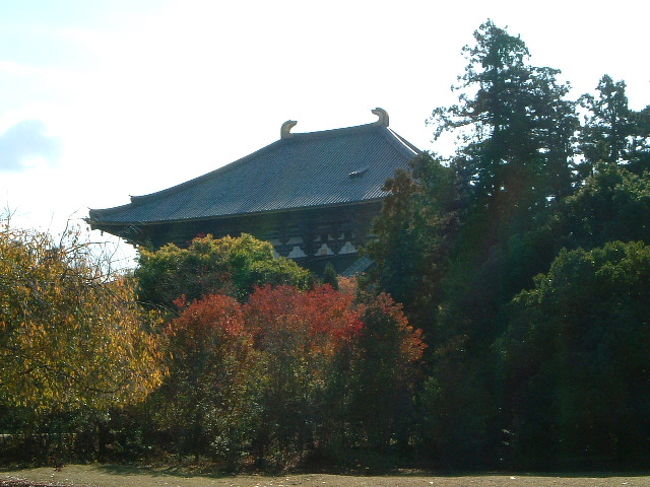 紅葉と東大寺