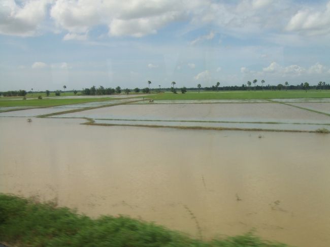 プノンペンに向かうバスの中から。「森の国」というより「水の国」？