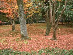 苔寺。12月2日なのに、この紅葉です。