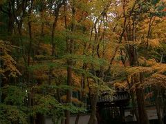 地蔵院(竹の寺)