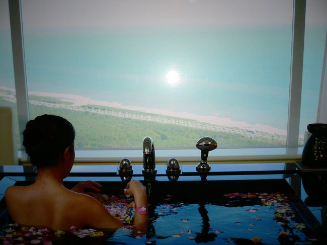 中の写真は撮らせてもらえませんでしたが、<br />実際は、こんな按配だそうです。<br />